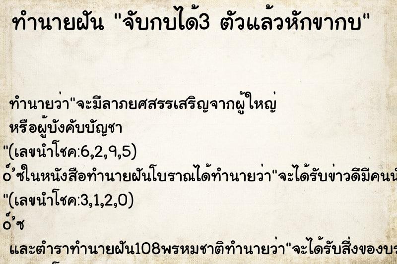ทำนายฝันจับกบได้3ตัวแล้วหักขากบ ทำนายฝันทำนายฝันจับกบได้3ตัวแล้วหักขากบ